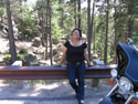 Sturgis