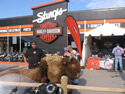 Sturgis